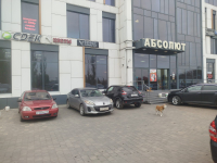 USM2, Новая Усмань, ул. Ленина - Фотография №1