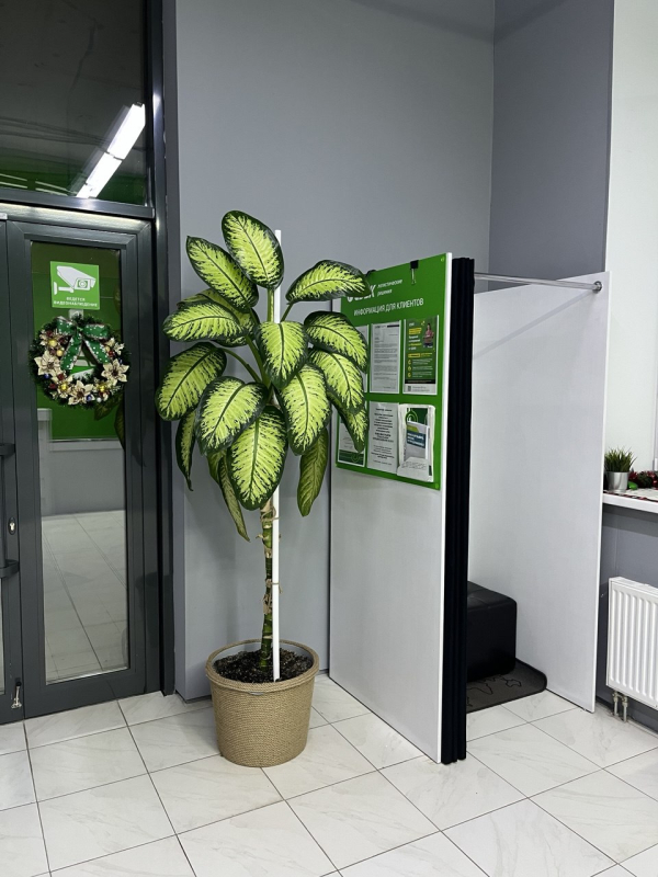 PSHK18, Пушкино, ул. Сретенская - Фотография №2