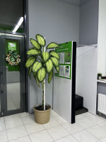 PSHK18, Пушкино, ул. Сретенская - Фотография №2