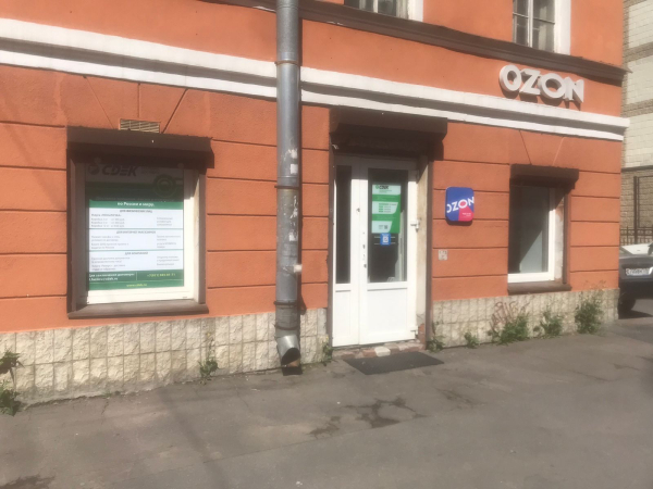 SPB203, Санкт-Петербург, ул. Воронежская - Фотография №4