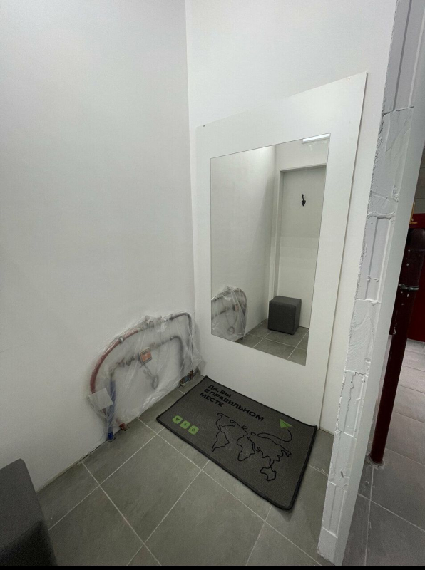 SPB1134, Санкт-Петербург, б-р. Измайловский - Фотография №6