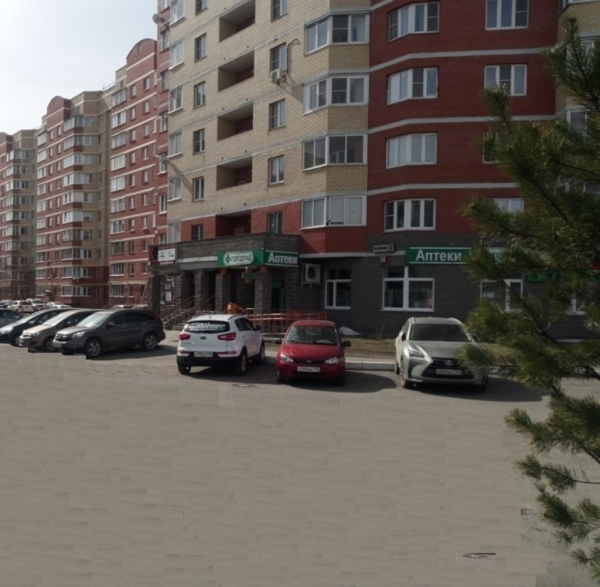 Электросталь Ялагина_19010_С - Фотография №1