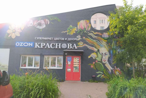 Владимир Строителей_3361_С - Фотография №2