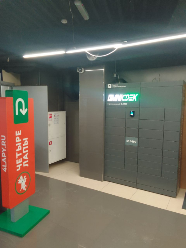 PSHK37, Пушкино, Московский пр-т - Фотография №4