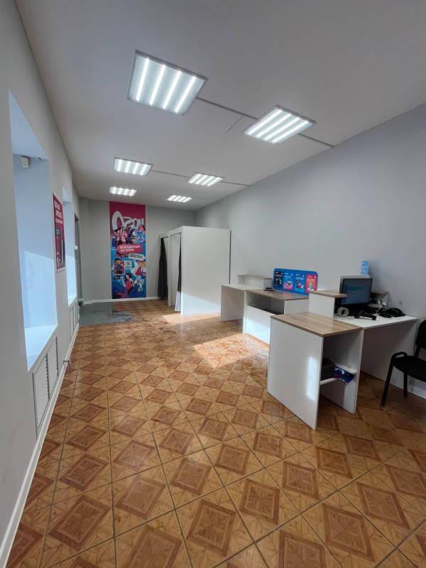 SPB1239, Санкт-Петербург, ул. 8-я Красноармейская - Фотография №2