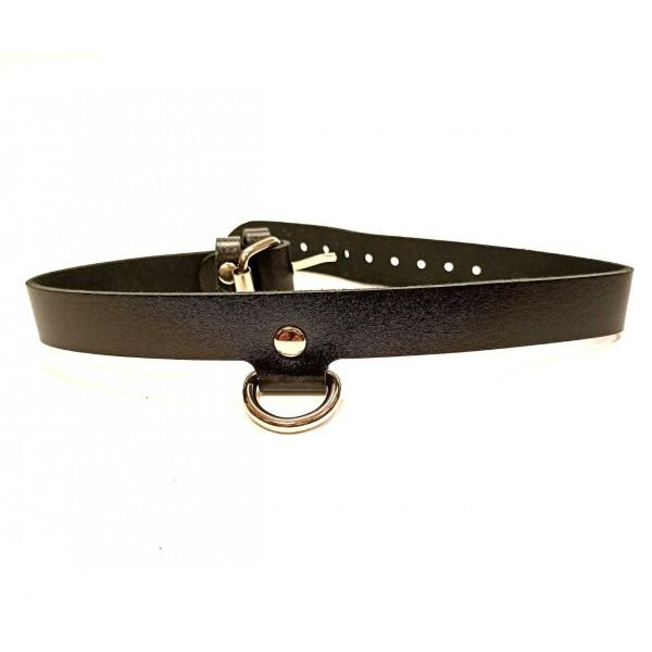 Ошейник Пастор с кольцом "ИнтимХаус" - Фотография №1