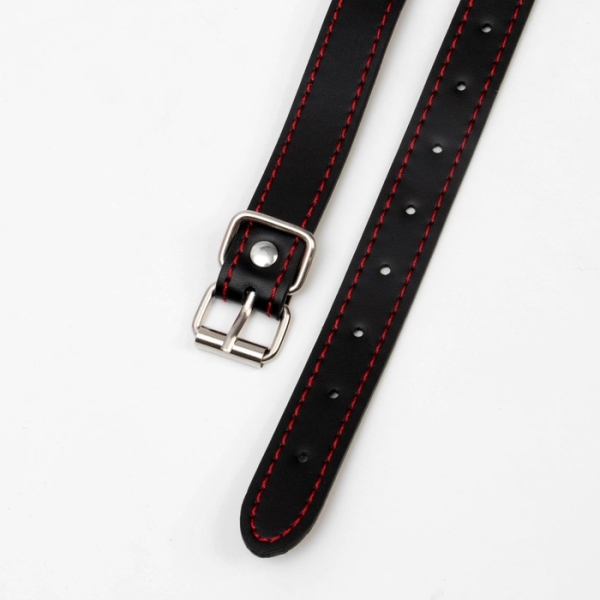 Кляп - трензель "Косточка" розовый - Фотография №4