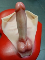 Страпон с реалистичными трусиками и поступательной стимуляцией - Фотография №1