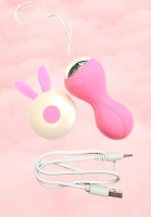 Вагинальные шарики перезаряжаемые - Фотография №1